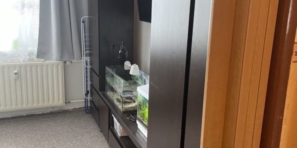 rekonštrukcia bytu, kúpeľňa, kuchyňa, pbývačka, toaleta, rekomplett, trnava, prerábky, interiérové dvere